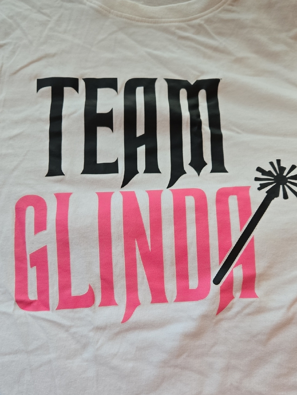 DIP Wicked Team GLINDA Short Sleeve Tee Medium                       (BIN 004)